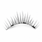 Magnetic Lash Kit